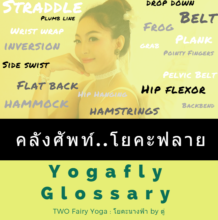 You are currently viewing คำศัพท์โยคะฟลาย  Aerial Yoga Glossary